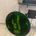 Отзыв о greenlife.deco: Кристина Спевак