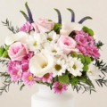 Отзыв о Компания Floraqueen: Не советую