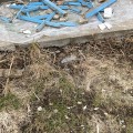 Отзыв о ООО "Тульский завод светопрозрачных конструкций": Этой компании не нужны клиенты