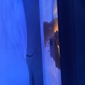 Обман. Чехлы не выполняют заявленные функции.
