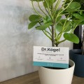Отзыв о Отбеливающие полоски Dr.Kogel: Результативные