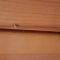 Жопорукий шабашник Андрей