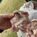 Отзыв о ВЕЛКОМ, мясокомбинат: Ужас ! Жир один ! Как такое можно предлагать людям !