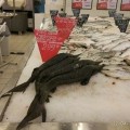 Сырокопченая ложь...впрочем как всегда!